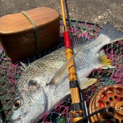 ヘチってきました