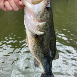 1日ボート釣行！