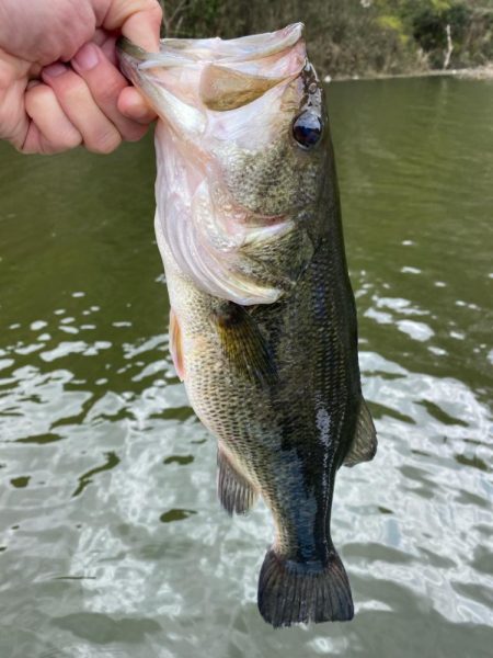 1日ボート釣行！