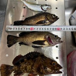 自作ワームテスト