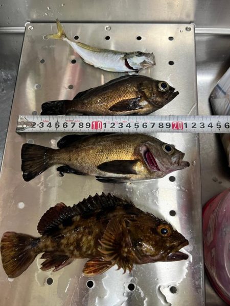 自作ワームテスト