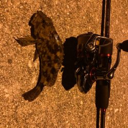 狙いはシーバス!