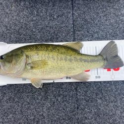 1日ボート釣行！