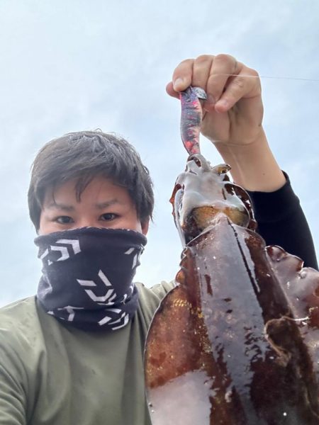 朝マズメ限界突破エギング