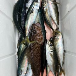 SLJ便に乗ってきました