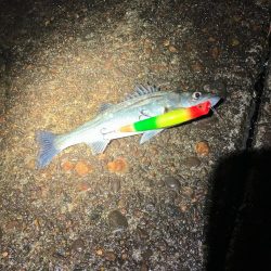 ホントに申し訳ない‼️