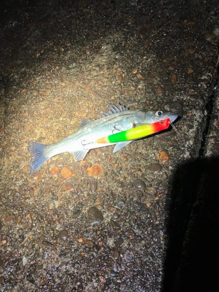 ホントに申し訳ない‼️