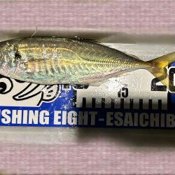 なんとか初アジ