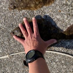 ２年振りのカレイ釣り（記録更新）