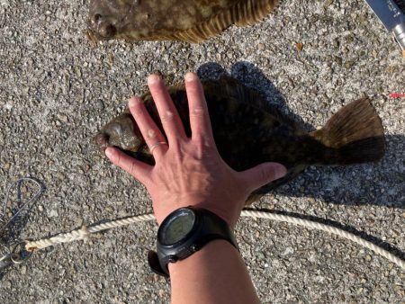 ２年振りのカレイ釣り（記録更新）