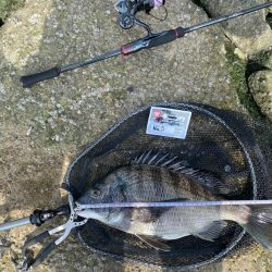 何をやっても釣れません