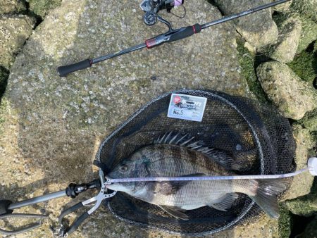 何をやっても釣れません