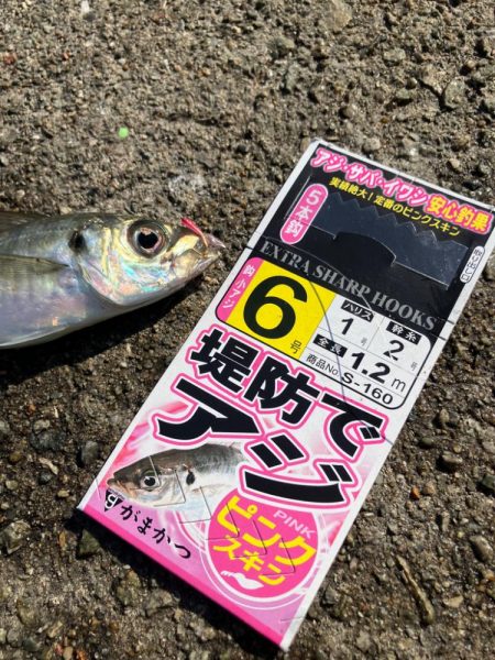 サビキ釣り