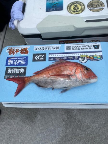 ディープ鯛ラバ