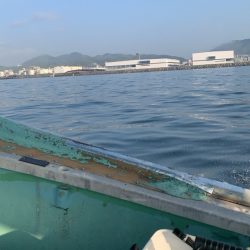 タイラバのつもりが…