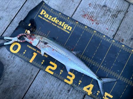 筏シーズン開幕