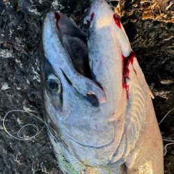 ただいま！北海道