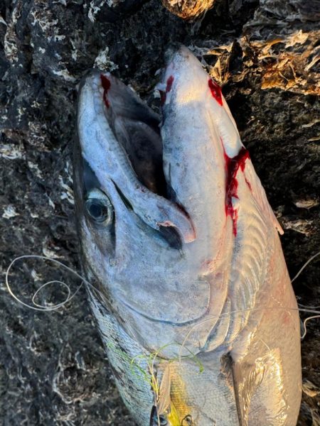 ただいま！北海道