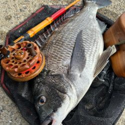 ヘチってきました