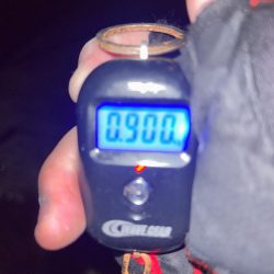 ゴールデンウィーク開幕