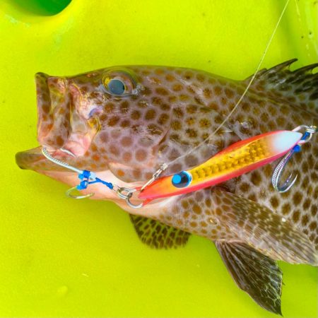 カヤックフィッシング