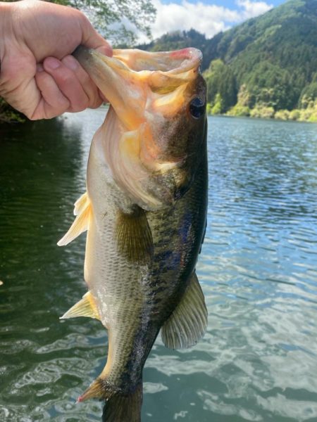 午前中ボート釣行！