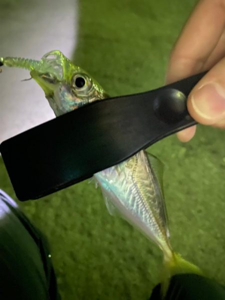 ランガンアジング