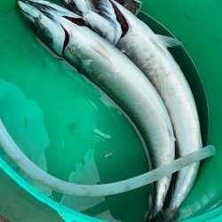 銚子沖、アカムツ狙い