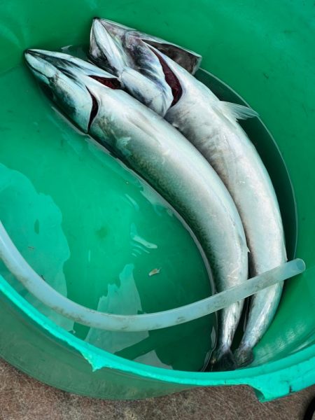 銚子沖、アカムツ狙い