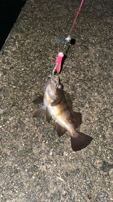 バチ抜け 今年は?