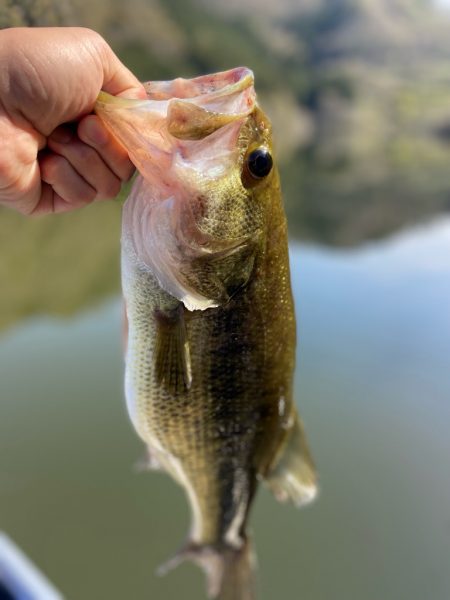 午前中ボート釣行！