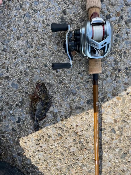 春のライトゲーム