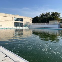 フィッシングプール初トライ