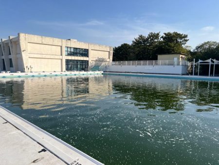 フィッシングプール初トライ