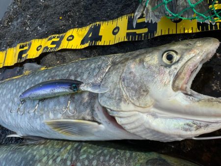 大物は目の前にして逃げられる笑