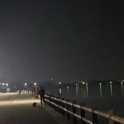 今季最後のヤリイカ