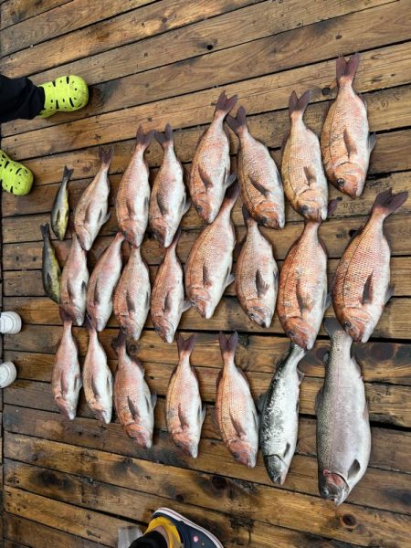 海上釣堀辨屋 本多商店イベント