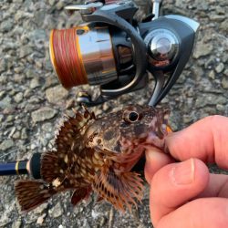 久しぶりの釣り日和