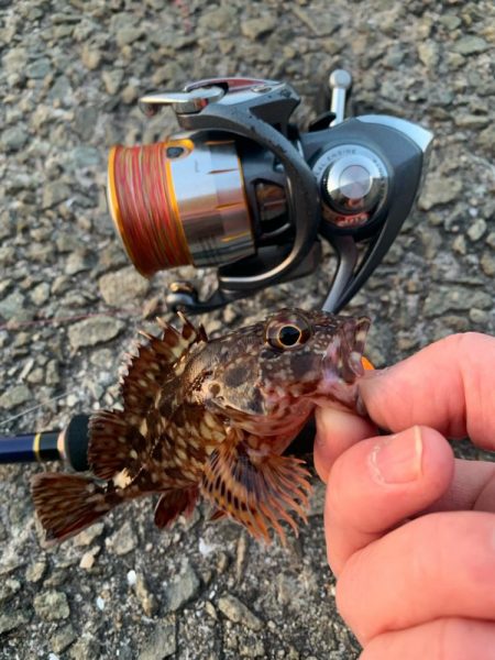 久しぶりの釣り日和