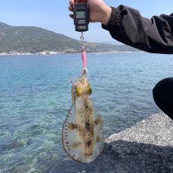 愛南遠征(日曜日)