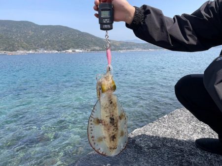 愛南遠征(日曜日)