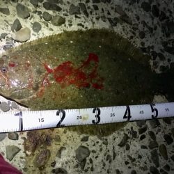 ショアジギング