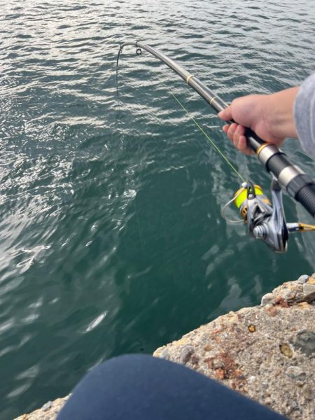 今シーズン初釣り、初釣果!