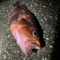 今日もいつもの場所へ