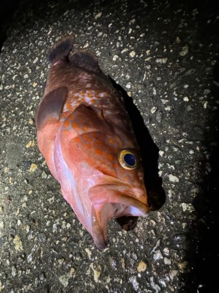 今日もいつもの場所へ