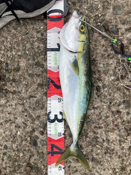 2024ライトゲーム第14戦