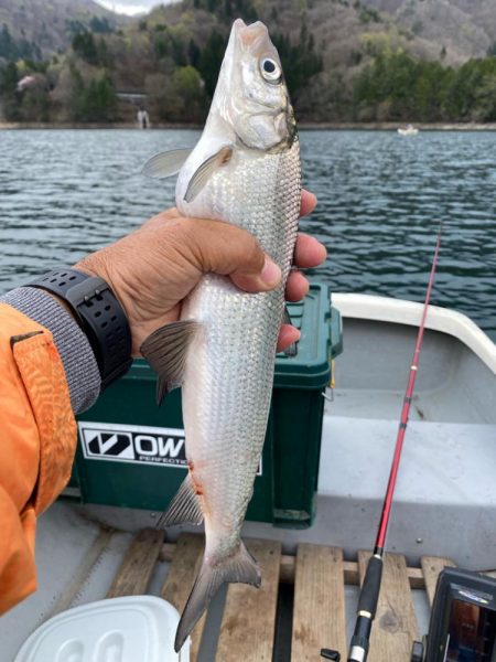 わかさぎ&シナノユキマス釣り