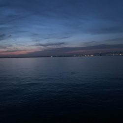 初めてのバチ抜けシーバス!