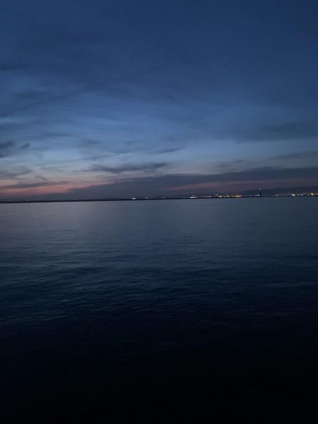 初めてのバチ抜けシーバス!