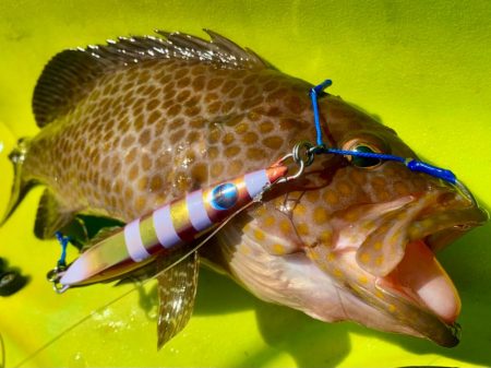 カヤックジギング